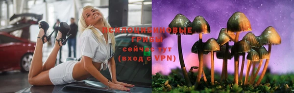 стафф Алзамай