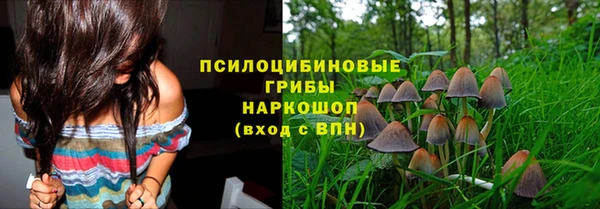 стафф Алзамай
