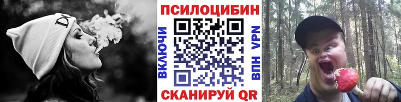 Псилоцибиновые грибы Psilocybine cubensis Арск